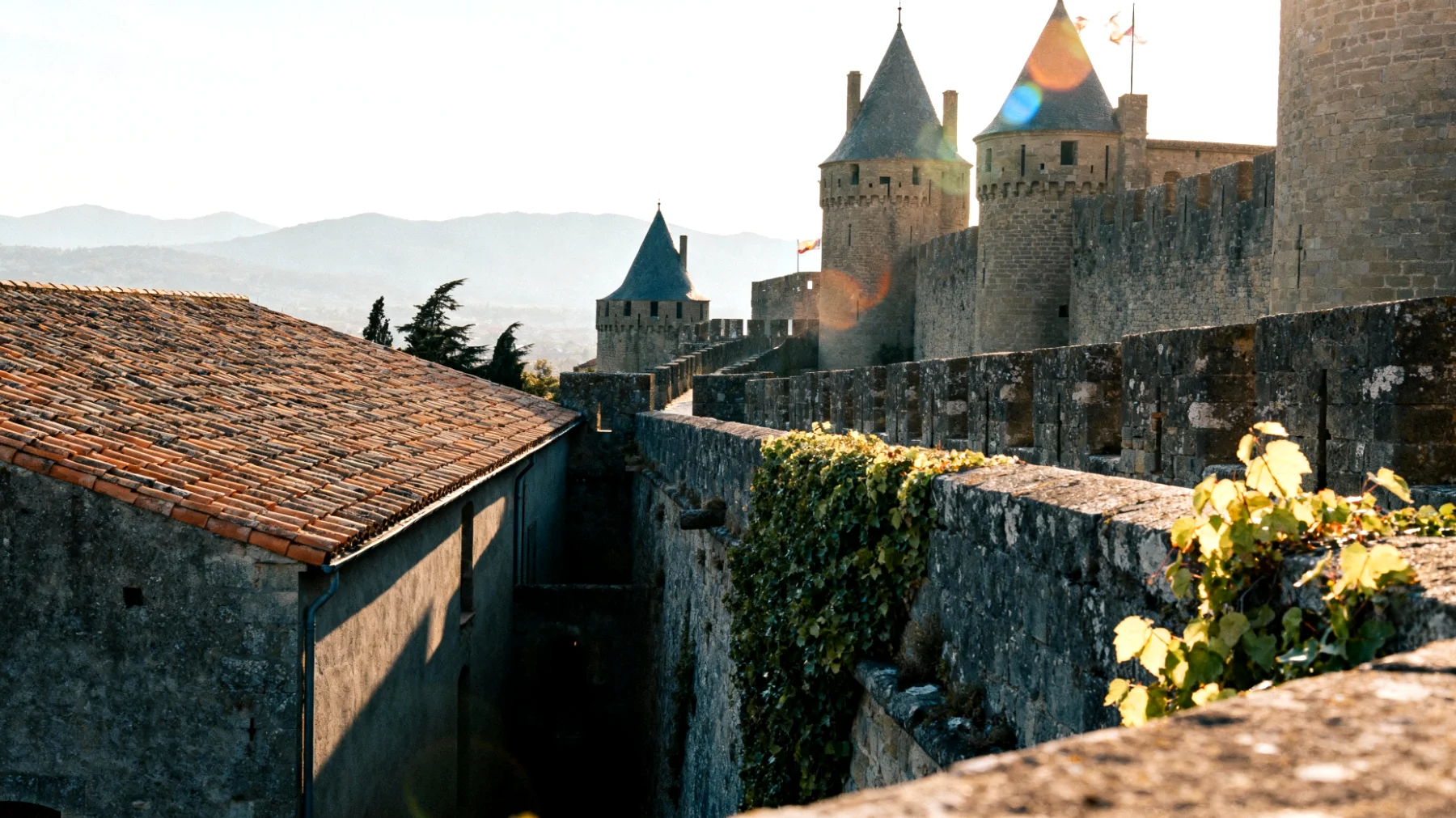 Carcassonne"